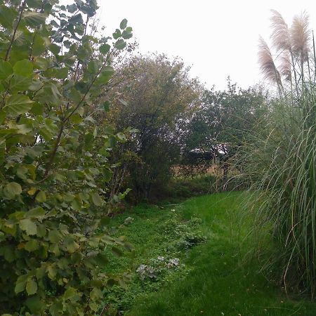 Gite De La Basse Roche Souge  المظهر الخارجي الصورة