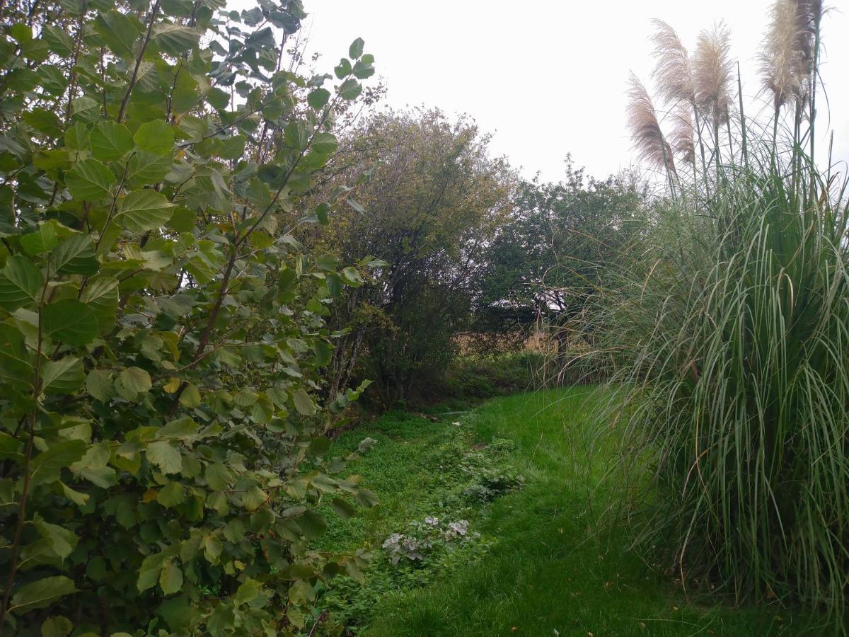 Gite De La Basse Roche Souge  المظهر الخارجي الصورة